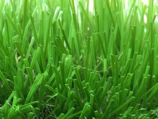 Bán thảm cỏ nhân tạo sân bóng giá rẻ tại Hà Nội