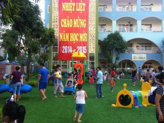 Thi công thảm cỏ nhựa nhân tạo trong nhà
