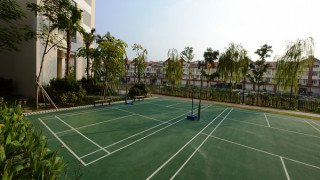 Làm mặt sân cầu lông